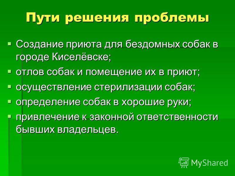 Бездомные собаки проект - Basanova.ru