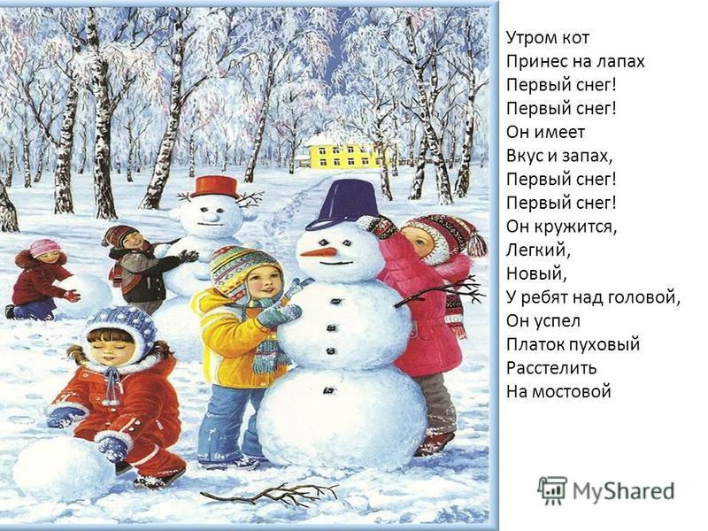 Стих о коте и снеге Стих о коте и снеге
