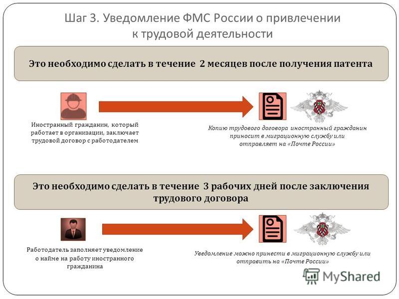 Клетка для птиц: какую клетку купить, как оборудовать, советы Как установить водостоки на крыше: правильный монтаж