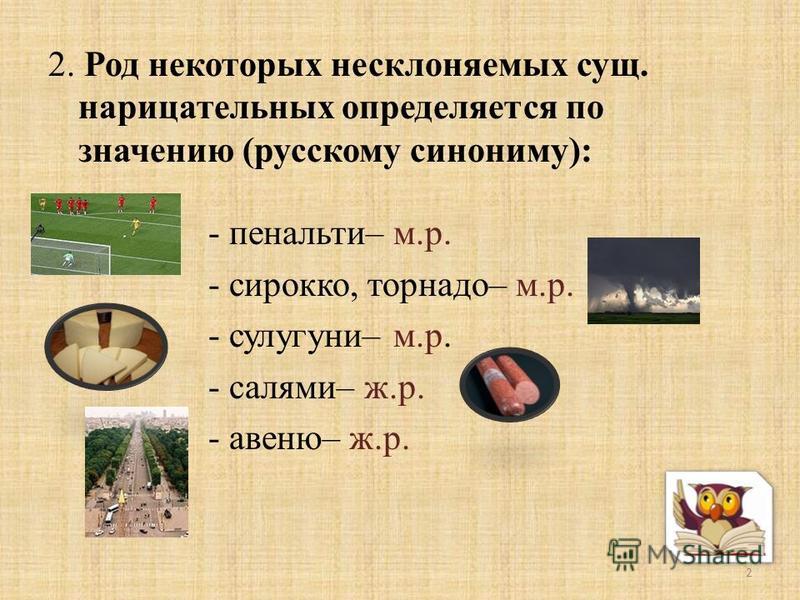 2 род заимствованных несклоняемых существительных приведите примеры Салями род слова CoffMachines.ru