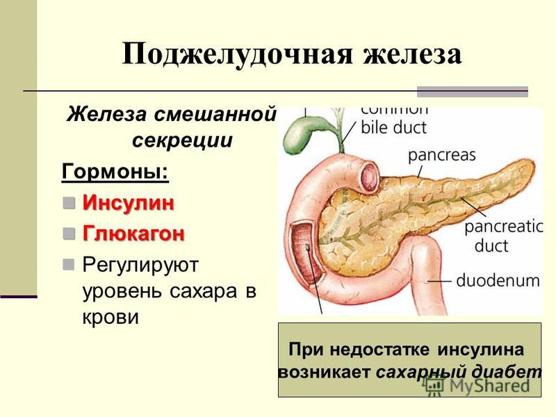Акромегалия это заболевание связанное с нарушением деятельности Акромегалия это заболевание связанное с нарушением деятельности