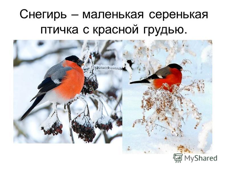 Ребенок трех месяцев плохо спит днем Ребенок трех месяцев плохо спит днем