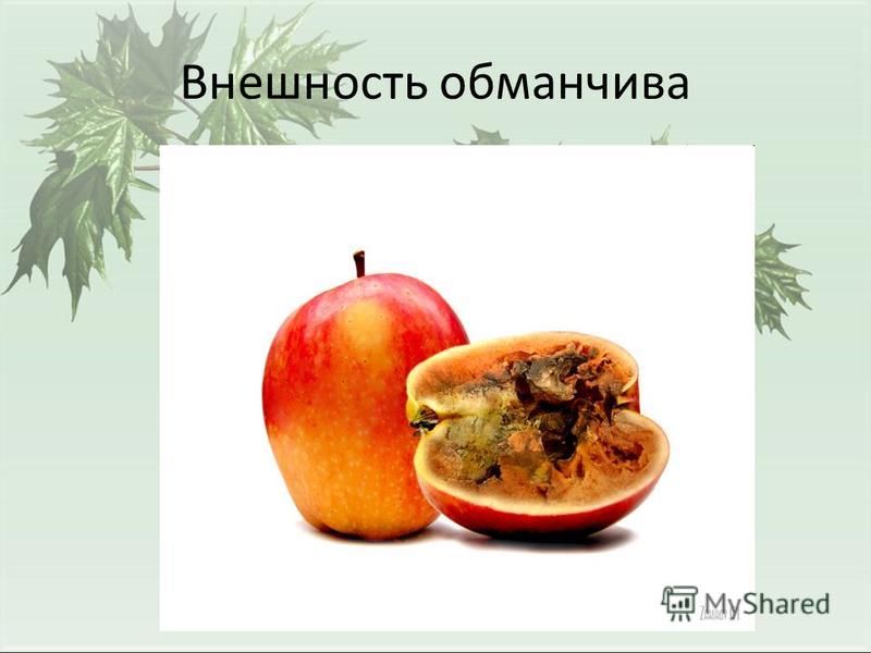 Внешность Бывает Обманчива Сочинение Внешность Бывает Обманчива Сочинение