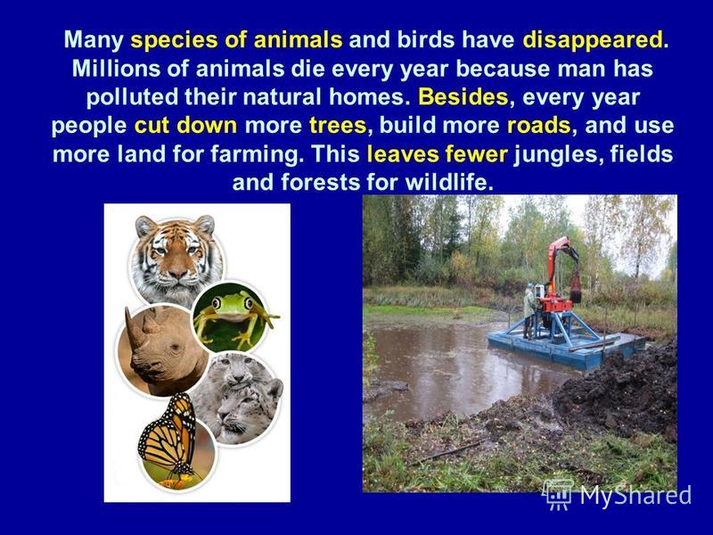 Many species of animals and birds have disappeared. Millions of animals die every year because man has polluted their natural homes. Besides, every year people cut down more trees, build more roads, and use more land for farming. This leaves fewer ju