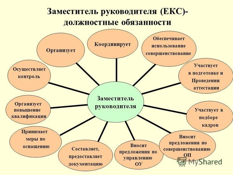 Обязанности заместителя руководителя проекта