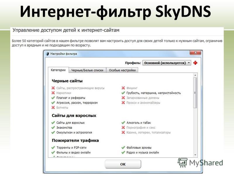 Интернет-фильтр SkyDNS