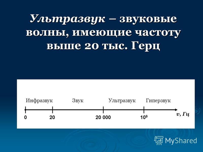 Реферат: Ультразвуки в живой природе