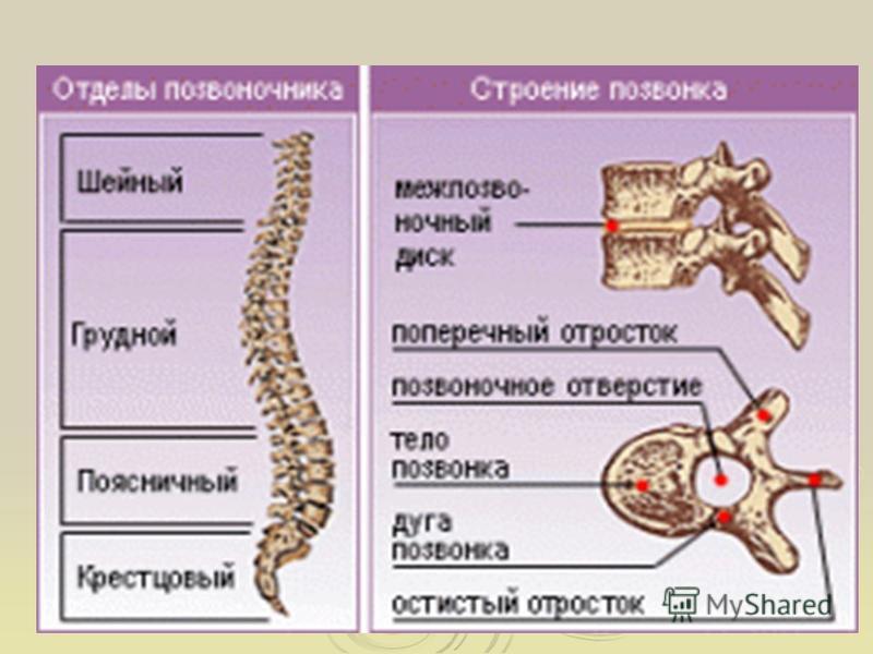 Посттравматическая деформация сустава Посттравматическая деформация сустава