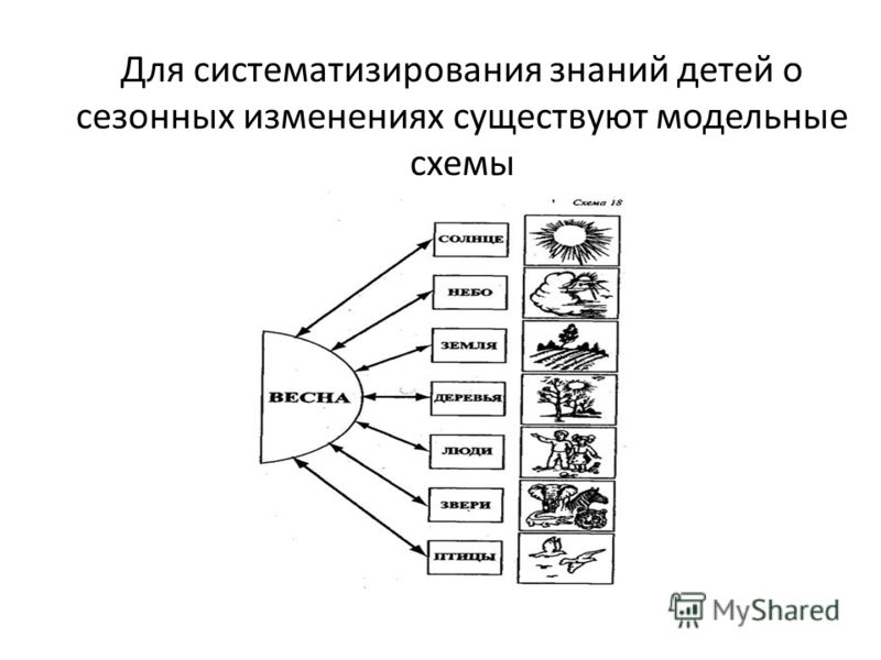Для систематизирования знаний детей о сезонных изменениях существуют модельные схемы