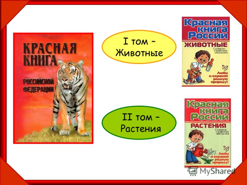 Красная книга 2 класс окружающий мир как сделать 98