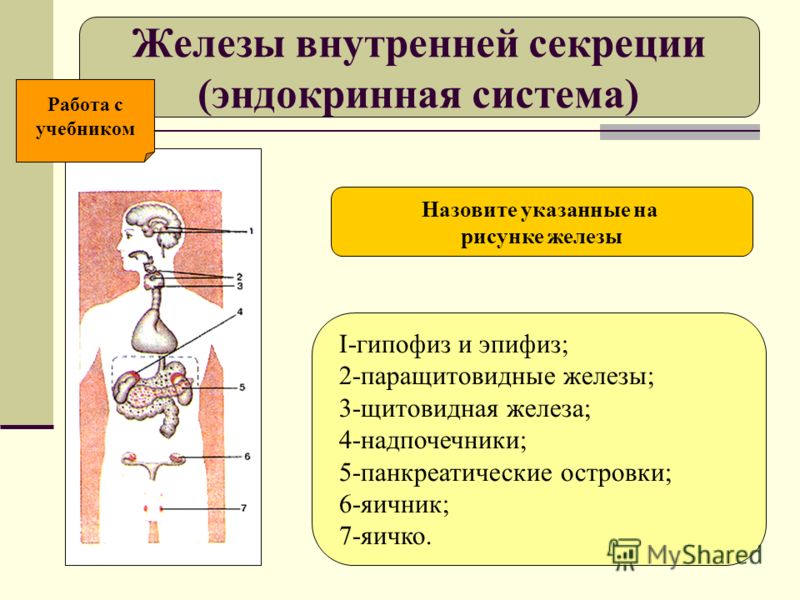 На тему рост На тему рост