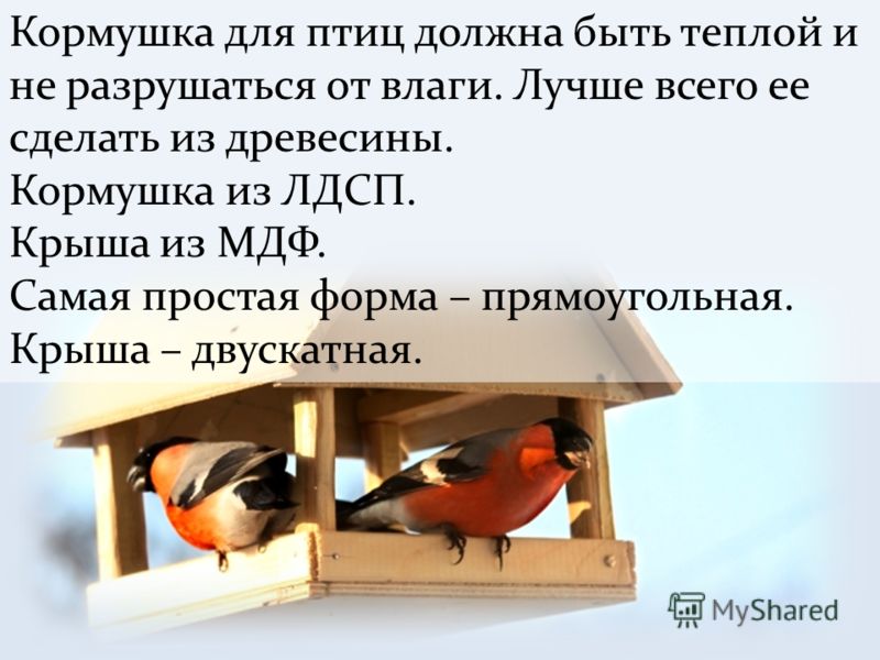 Бесплатно и без регистрации технологическую карту урока по биологии