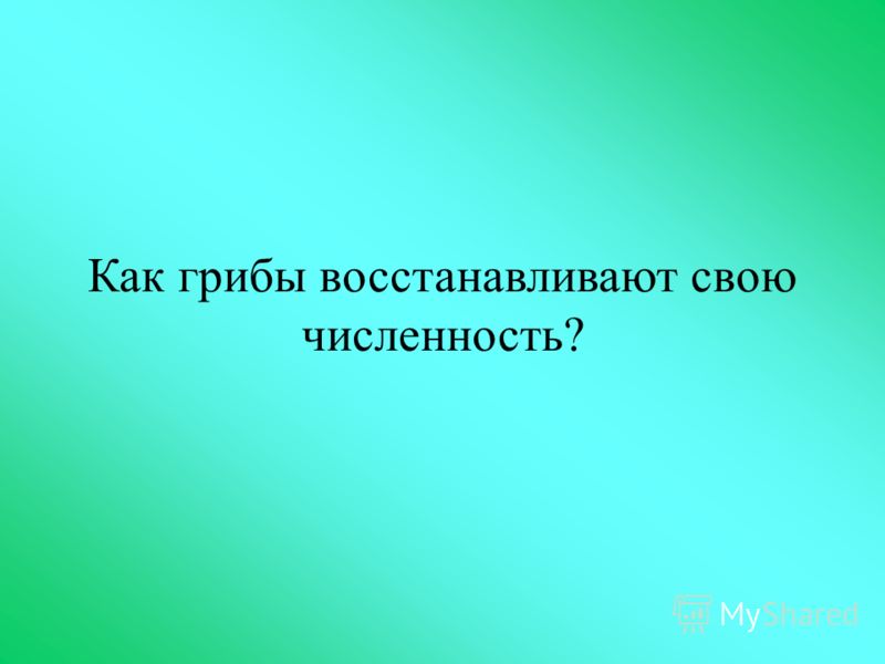 Рабочая программа по английскому языку биболетова для начальной школы