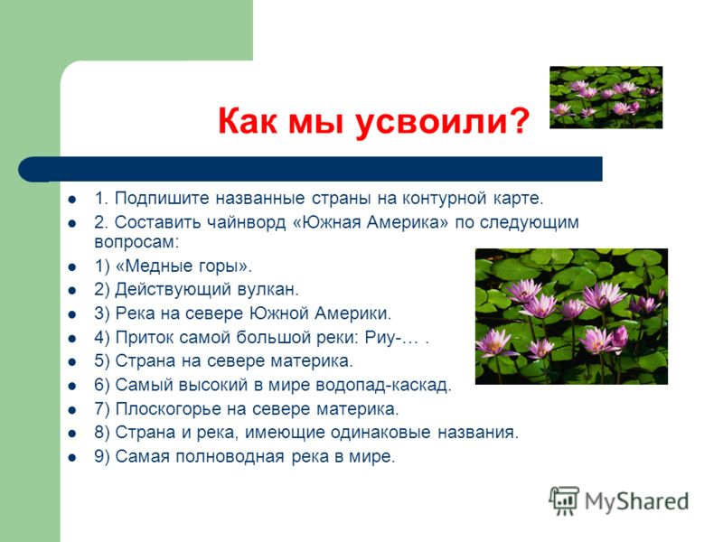 Тематическое планирование по английскому языку 4 класс биболетова