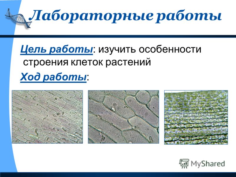 Математика 5 класс зубарева учебник ответы решебник