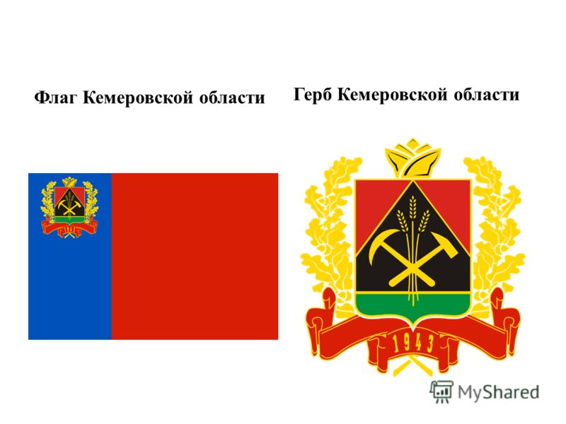 внеклассное мероприятие паразиты человека внеклассное мероприятие паразиты человека