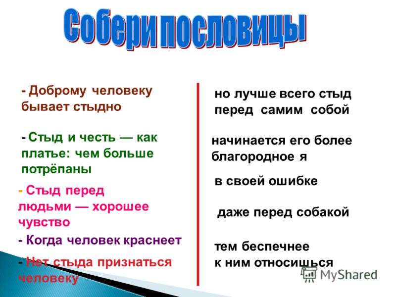 Аватария ответы по ИНФОРМАТИКЕ из раздела Школа
