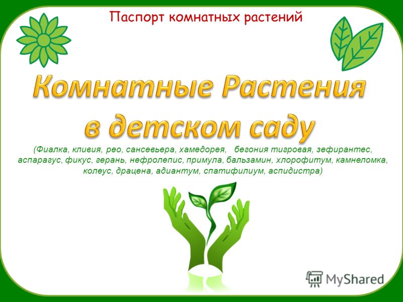 Мультфильм раскраска смотреть онлайн Мультфильм раскраска смотреть онлайн