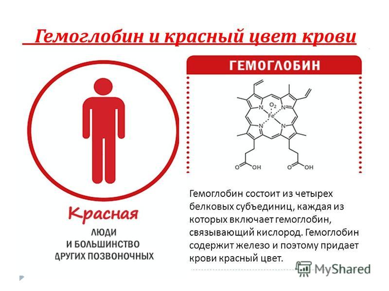 С чем связан низкий уровень гемоглобина С чем связан низкий уровень гемоглобина