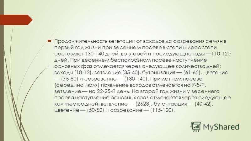 Смородина сорт вологда все об этом сорте Смородина сорт вологда все об этом сорте