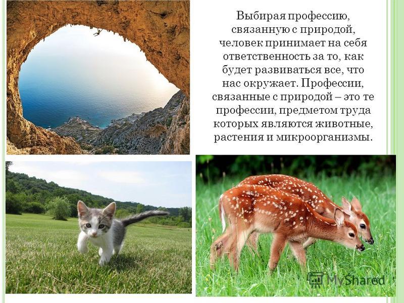 Какие есть профессии связанные с природой Какие есть профессии связанные с природой