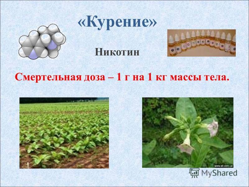 Расположение вен на теле человека