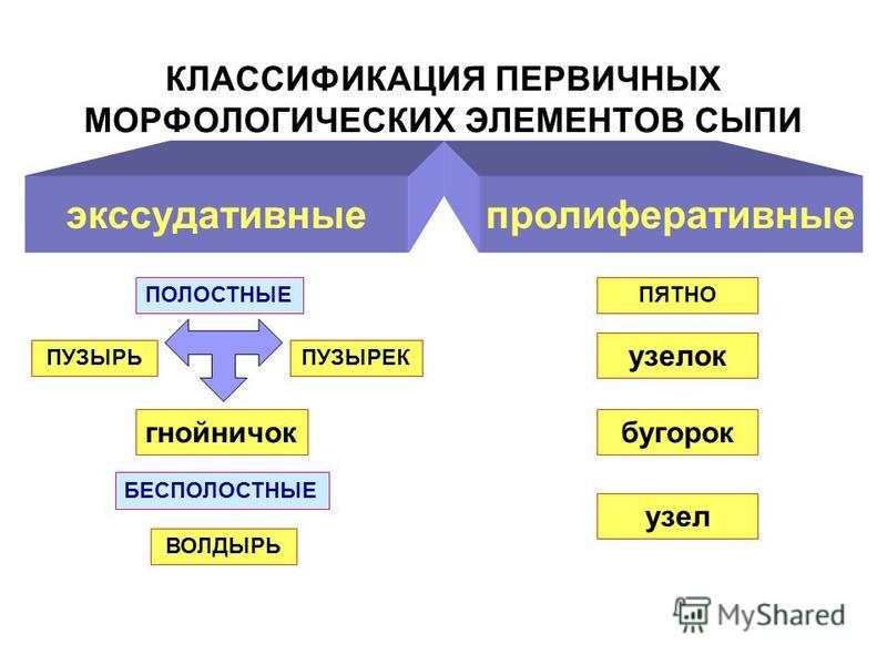 Пузырек элемент кожи Пузырек элемент кожи