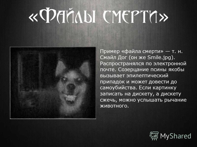 картинки смайла дога онлайн картинки смайла дога