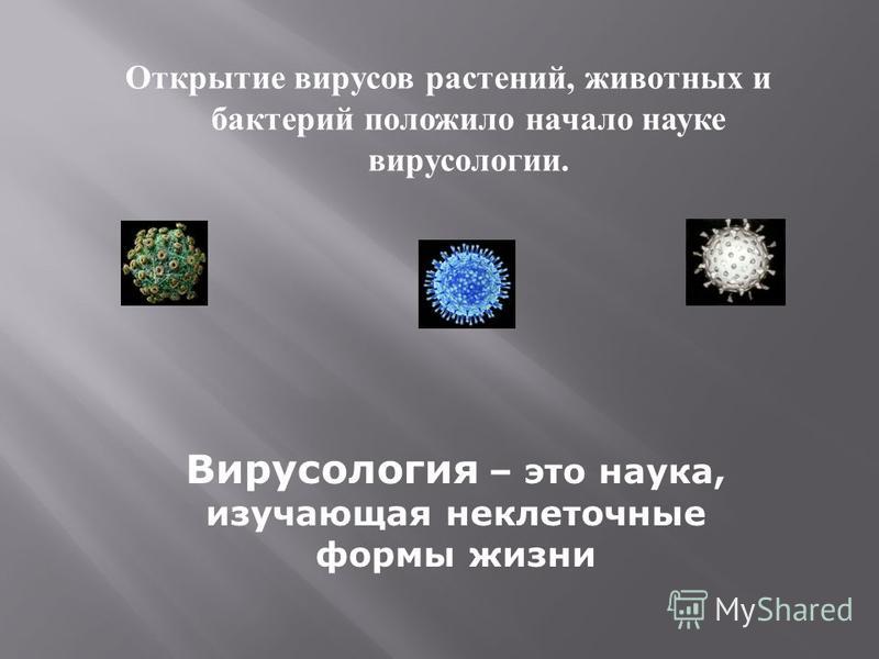 Открытие вирусов растений, животных и бактерий положило начало науке вирусологии. Вирусология – это наука, изучающая неклеточные формы жизни