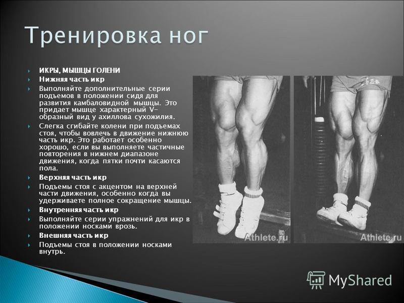 Медиальная головка икроножной мышцы функции