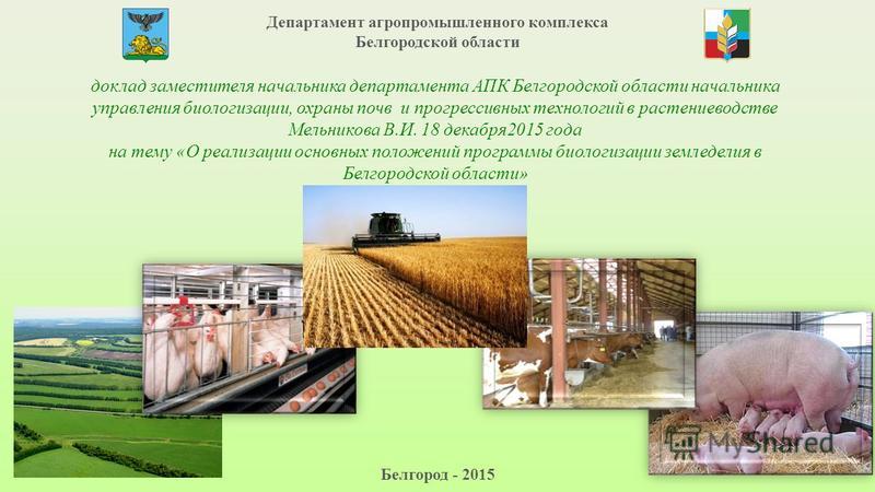 Реферат: Агропромышленный комплекс РФ 2