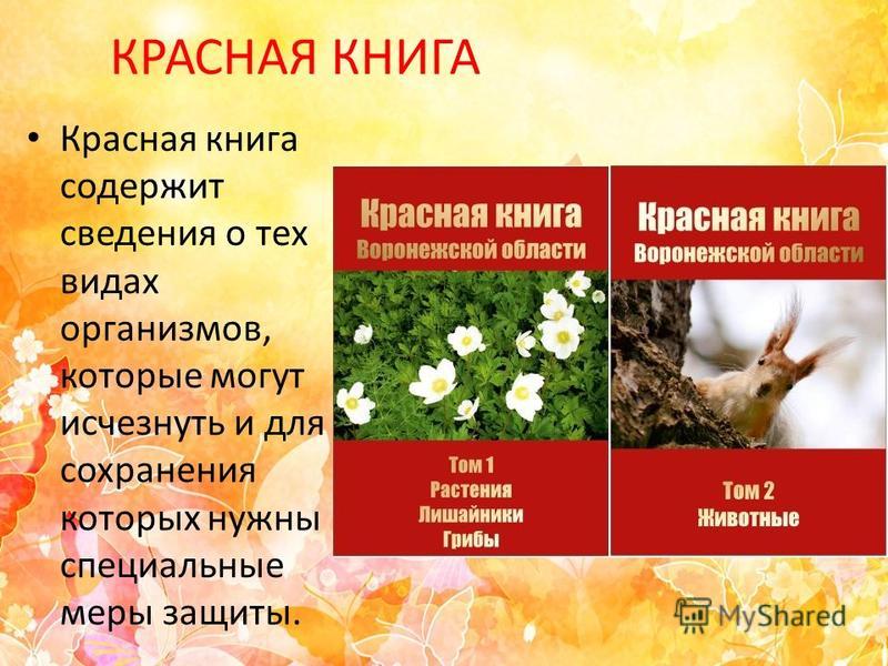 Красная книга воронежской области скачать бесплатно