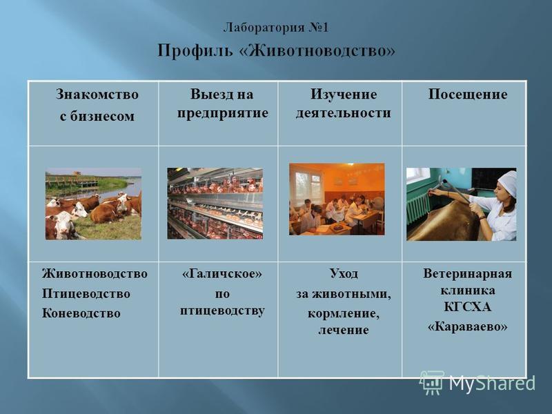 Детская больница элиста 4 микрорайон прием