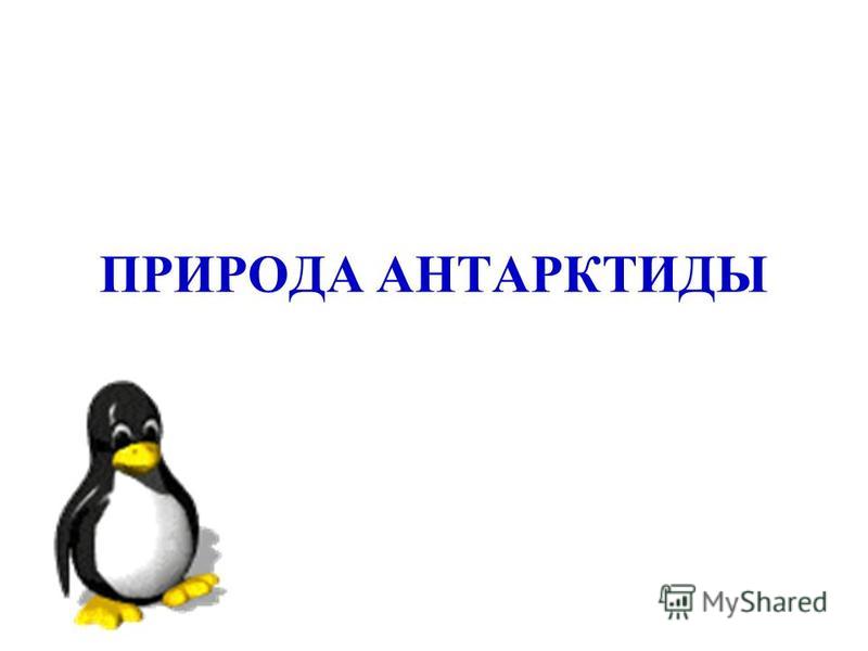 Ребусы на тему природа картинки Ребусы на тему природа картинки