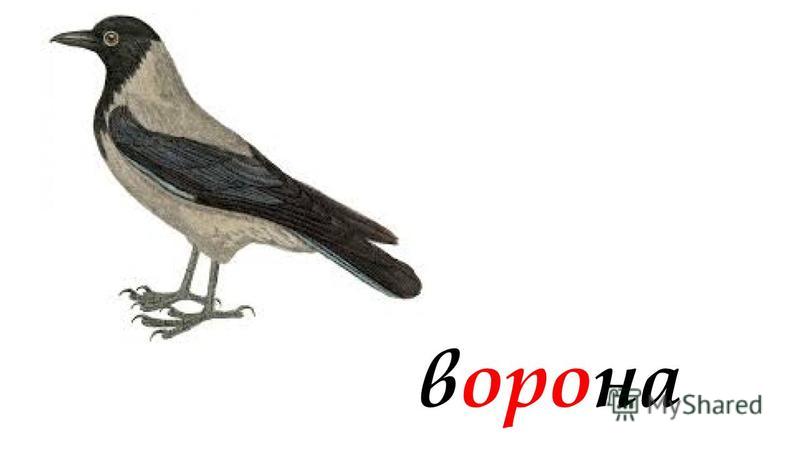 Словарные Слова 2 Класс Канакина Горецкий