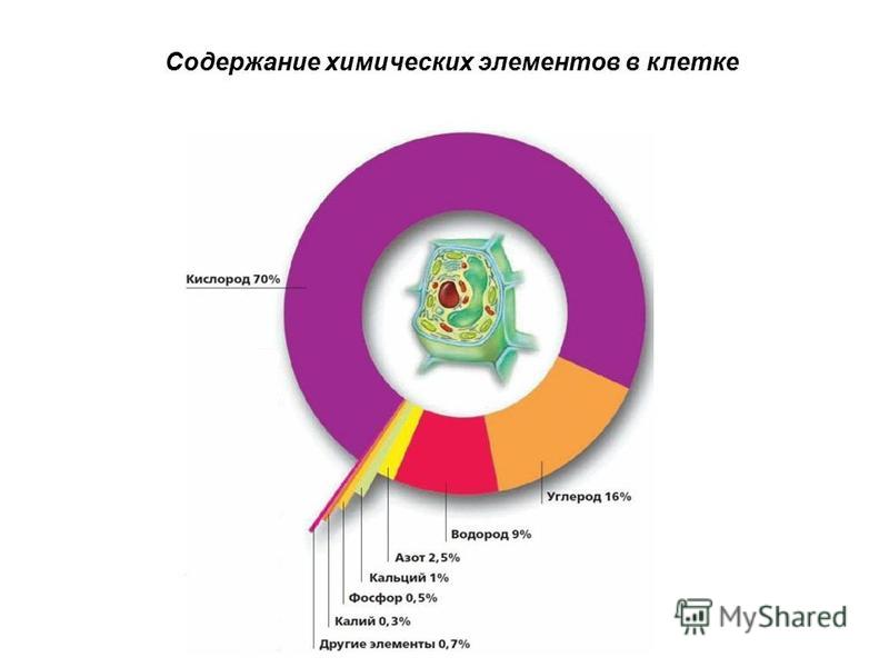 Глава 11. ЭКОЛОГИЧЕСКИЕ АСПЕКТЫ ХИМИЧЕСКИХ ЭЛЕМЕНТОВ