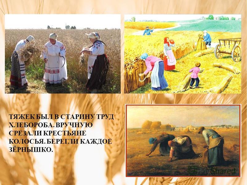 Поздравления для хлеборобов 48