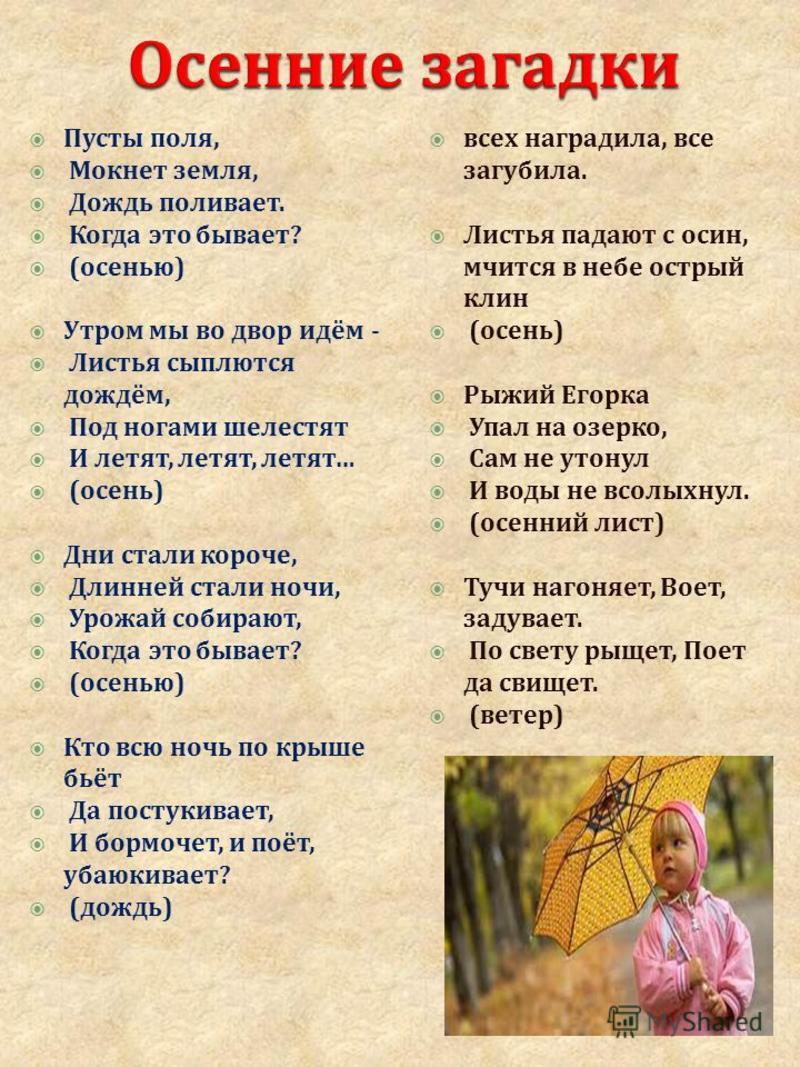 Народные приметы про осень: о погоде и не только Народные приметы про осень: о погоде и не только