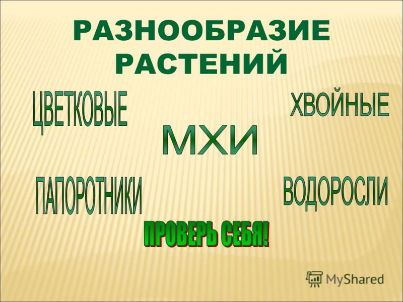 Алгебра мектеп 8 класс