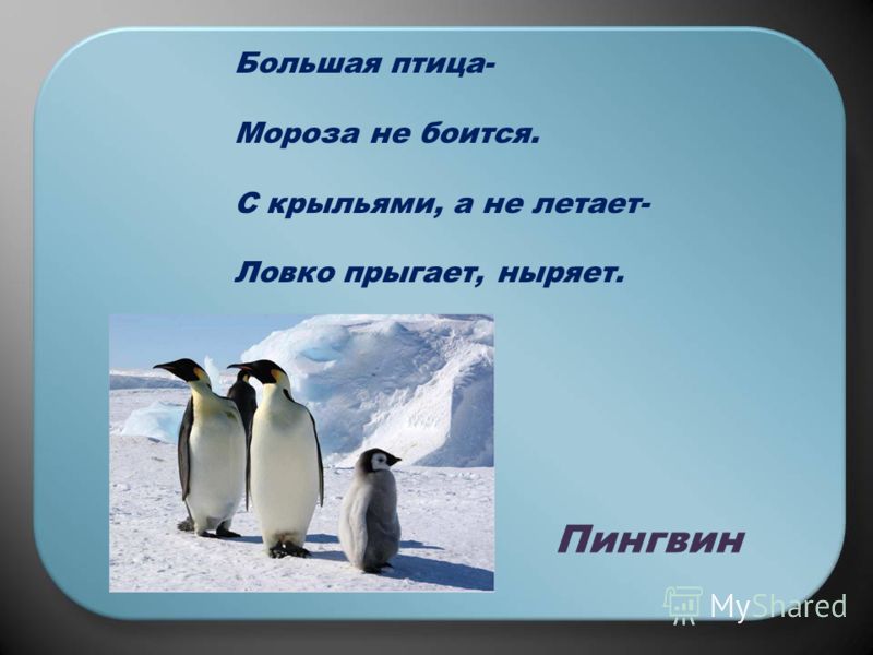 Информатика 5 класс читать