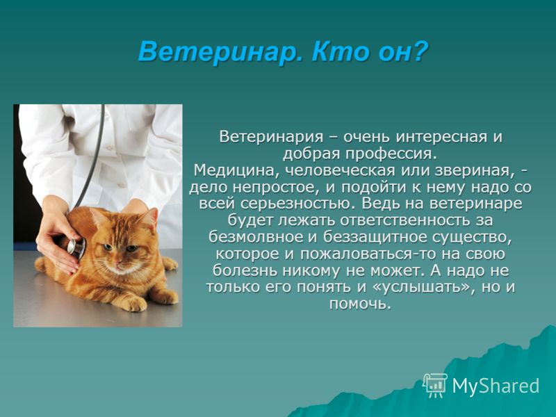 как избавить попугая от паразитов как избавить попугая от паразитов