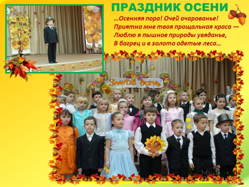 Решебник по биологии 7 класс