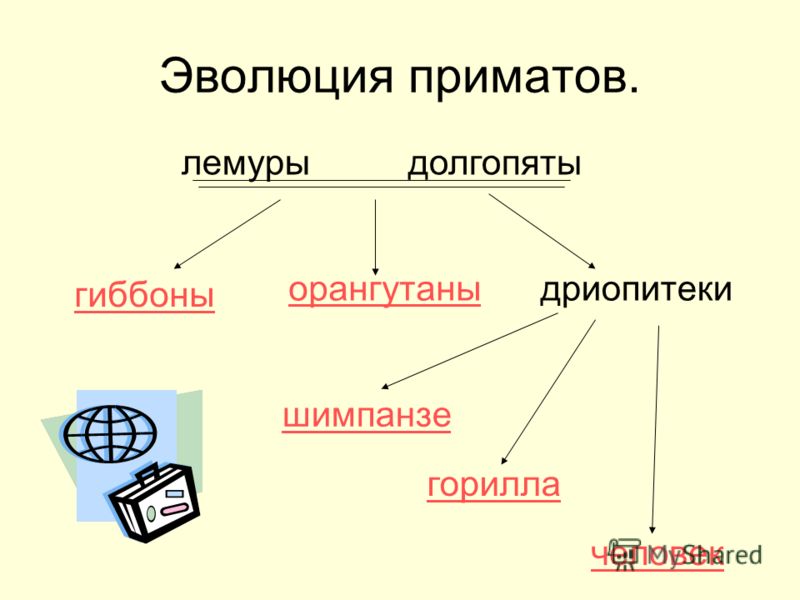 Учебник Общая Биология 10-11 Класс Вертьянов