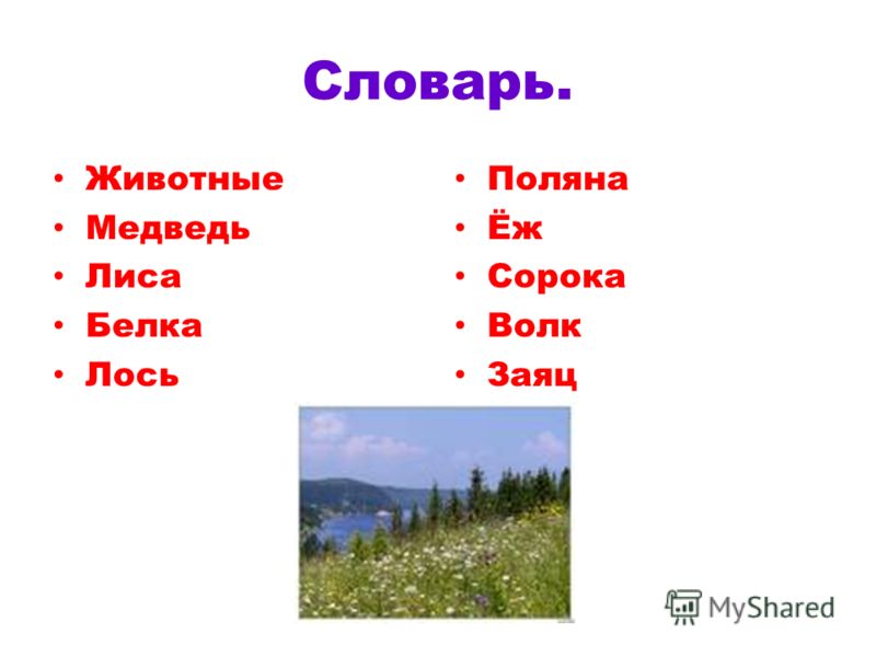 Раскраска лиса зимой Раскраска лиса зимой
