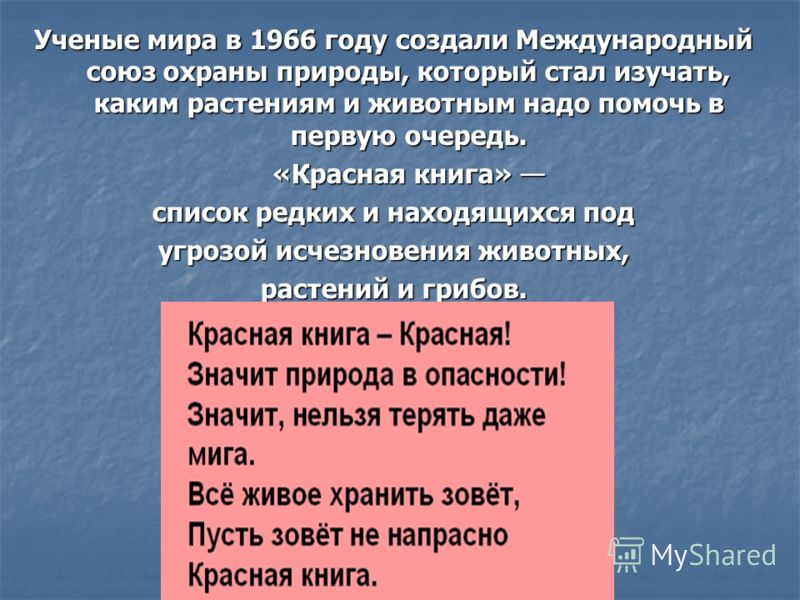 С каким животным в первую очередь связано слово КОВБОЙ? С каким животным в первую очередь связано слово КОВБОЙ?