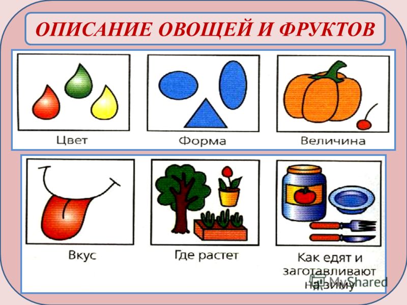 Картинки по запросу картинки схема описание овоща