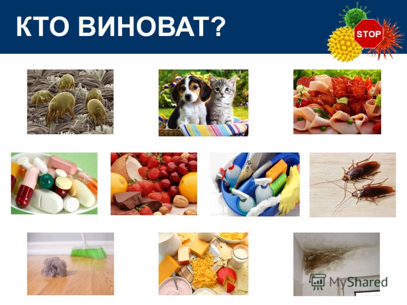STOP КТО ВИНОВАТ?