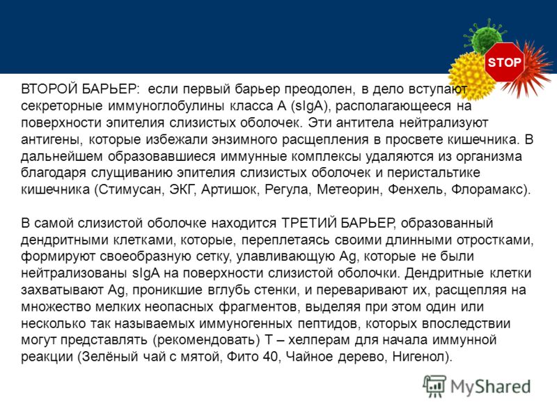 STOP ВТОРОЙ БАРЬЕР: если первый барьер преодолен, в дело вступают секреторные иммуноглобулины класса А (sIgA), располагающееся на поверхности эпителия