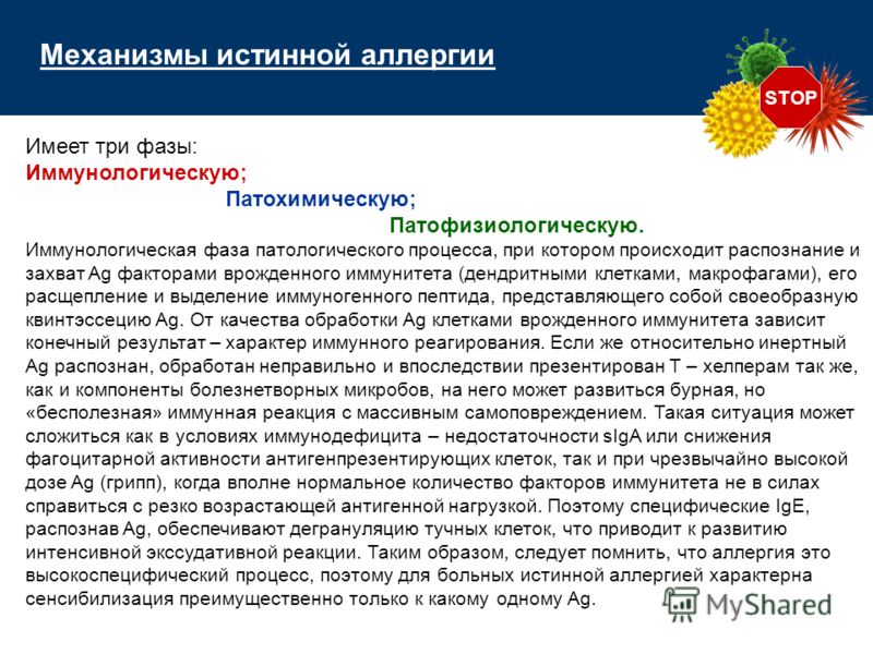 STOP Имеет три фазы: Иммунологическую; Патохимическую; Патофизиологическую. Иммунологическая фаза патологического процесса, при котором происходит рас