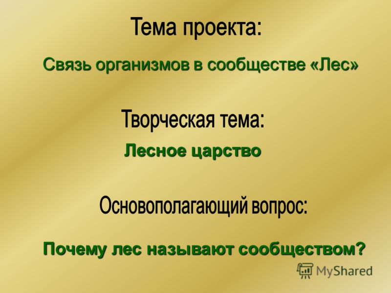 Поурочные разработки 2 класс школа 2100: Свежие фильмы, софт, музыка, обои и многое другое Физика 10 класс касьянов читать